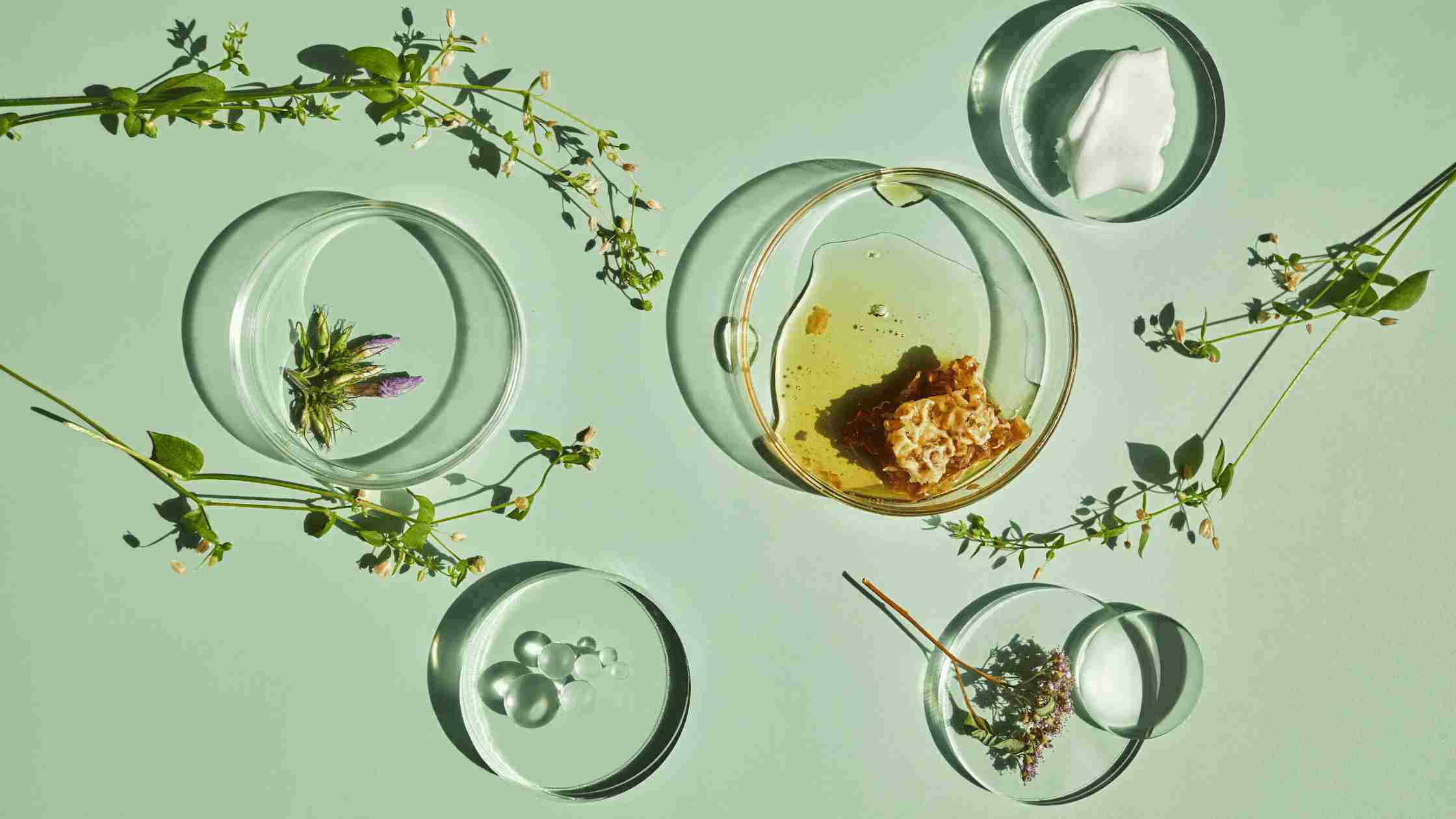 Cómo elegir los mejores productos de cosmética vegana